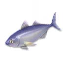 ปลาทู