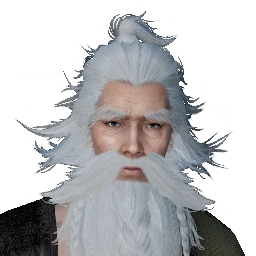 หน้า NPC ขอทานแก่ (老丐) จากในเกม